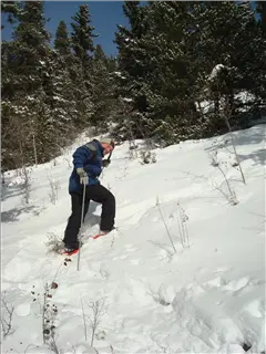 small_Breck2008 017.webp